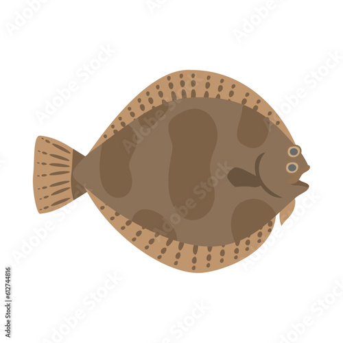 メイタガレイ（ホンメイタ）。フラットなベクターイラスト。
Frog-flounder (finespotted flounder). Flat designed vector illustration.