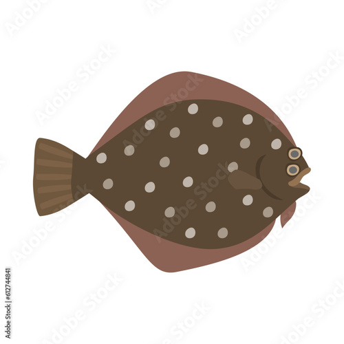 イシガレイ。フラットなベクターイラスト。
Stone flounder. Flat designed vector illustration.