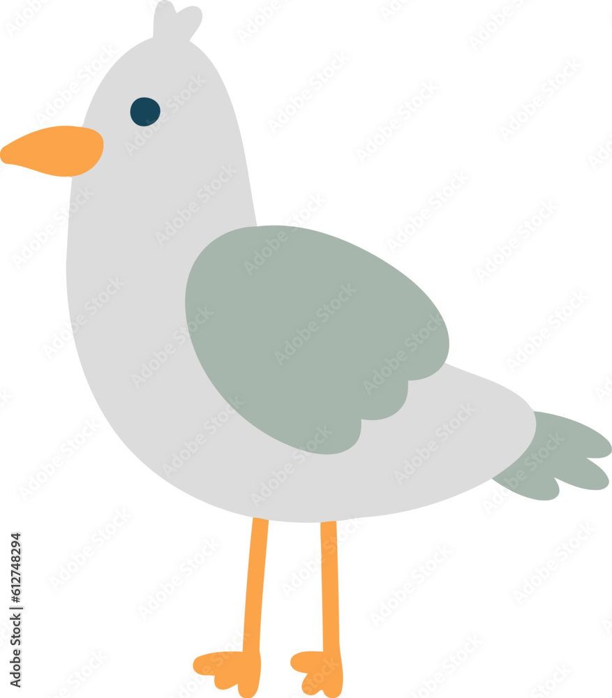 Summer Seagull Bird Summer Seagull Bird
