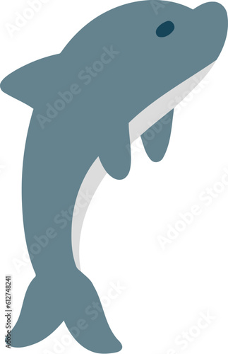 Summer Dolphin