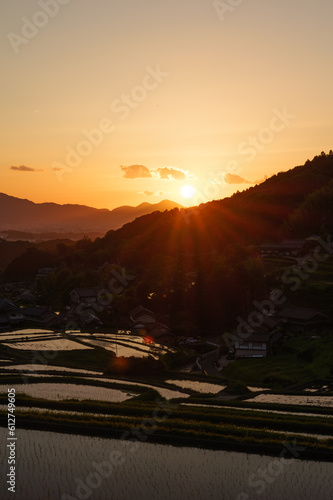 A farming village at dusk, beautiful scenery of rice paddies just before the sun sets