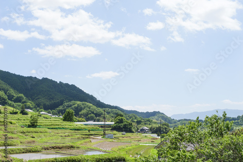 Early summer in a farming village  terraced paddy fields and rice paddies with beautiful blue sky and sunshine