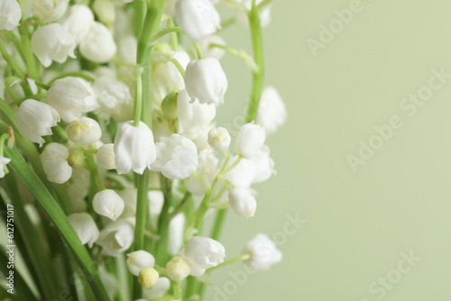 Beautiful lily of the valley flowers on light green background, closeup. Space for text