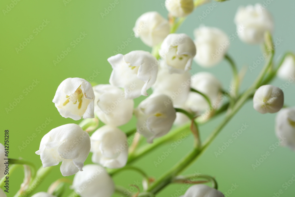 Beautiful lily of the valley flowers on blurred green background, closeup Beautiful lily of the valley flowers on blurred green background, closeup
