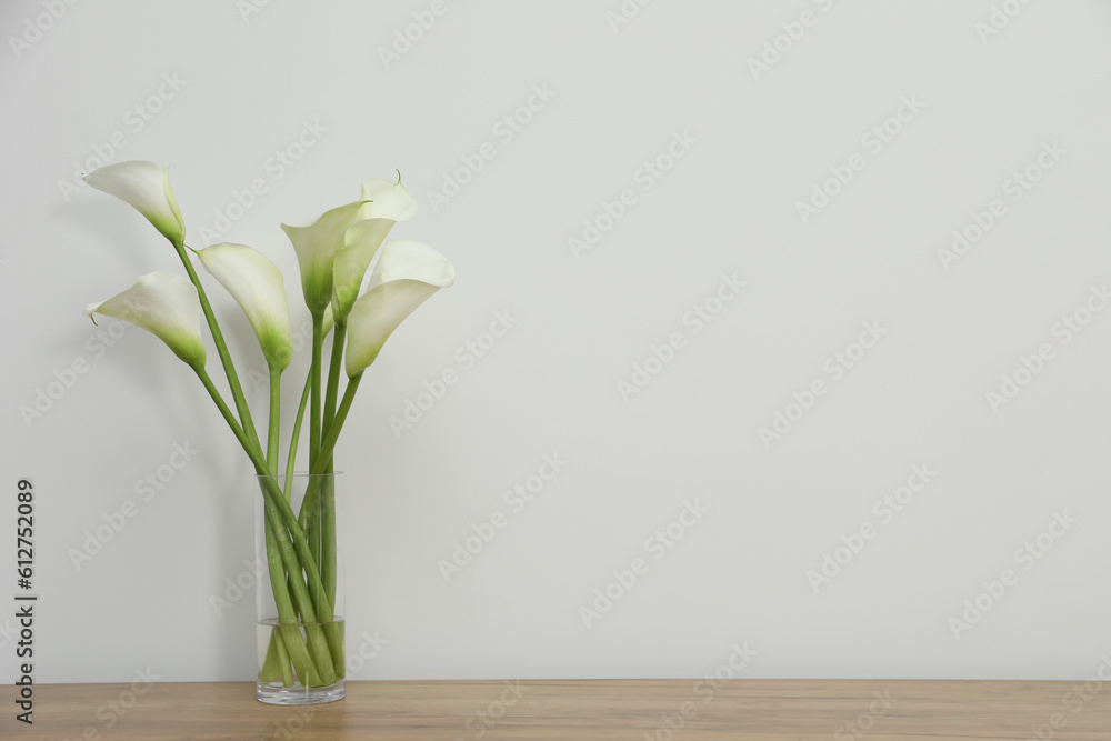 Beautiful calla lily flowers in glass vase on wooden table near white wall. Space for text