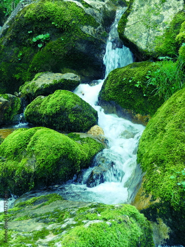 Canvastavla ruisseau