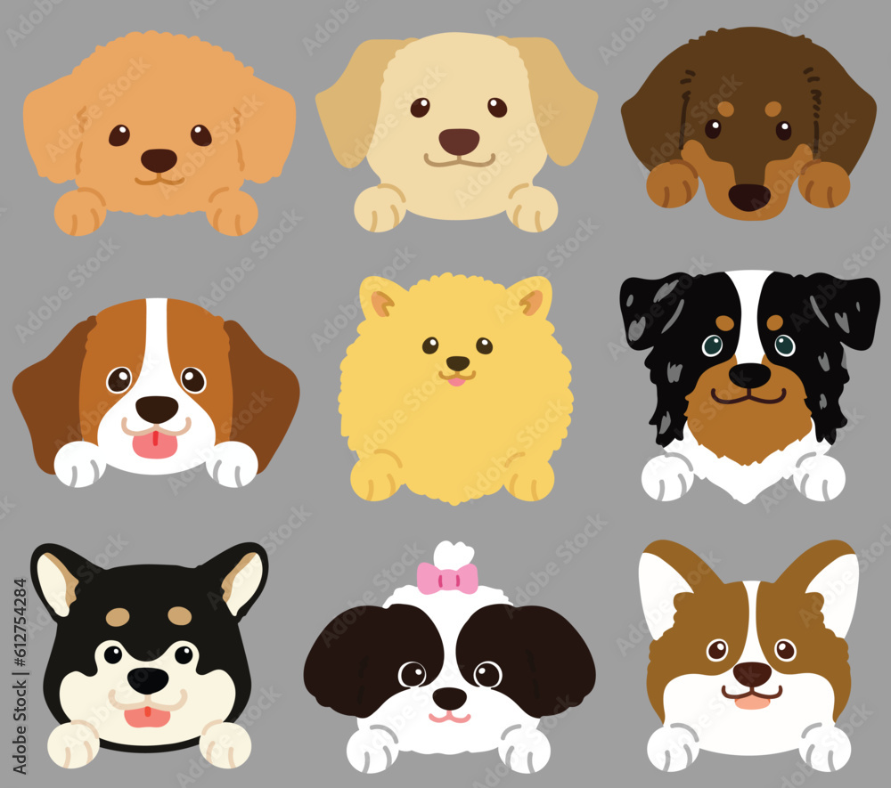 Obraz premium Set of flat colored cute and simple dog heads with front paws