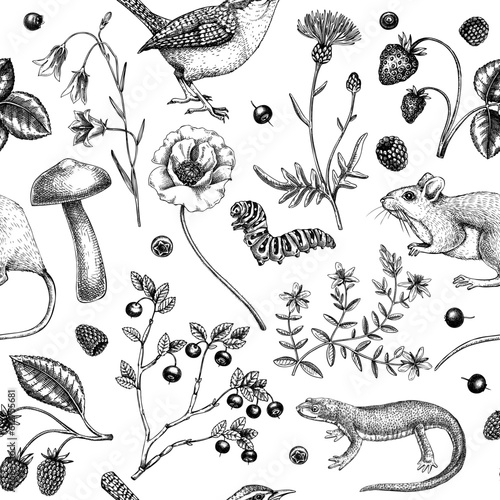 Summer background. Floral texture design. Wildlife sketches. Wildflowers seamless pattern. Hand-drawn illustration of field flowers, birds, and animals for wedding invitation, textile, packaging