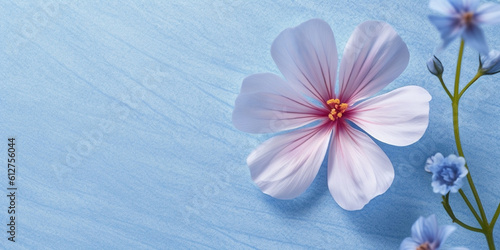 Linseed flower for natural ingredient skin care & cosmetic, copy space background, Generative AI photo