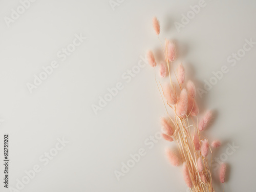 Beautiful tender dried flowers on light background © jittima