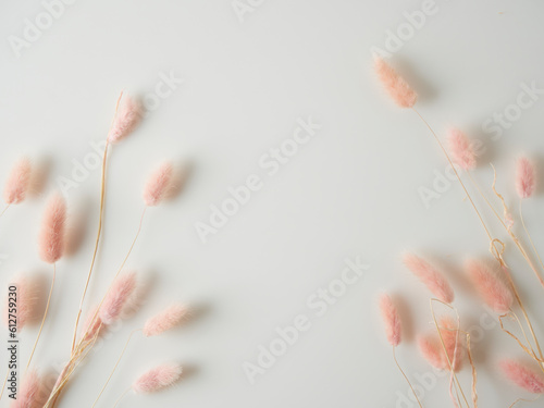 Beautiful tender dried flowers on light background