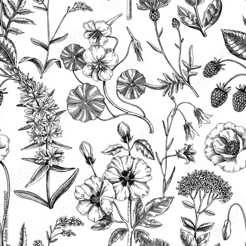 Hand-drawn summer background. Floral texture design. Sketched wildflowers seamless pattern. Vector illustration of field of flowers for wedding invitation, greeting cards, textile, packaging