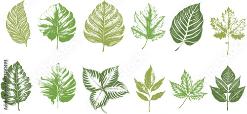 set of green leaves © wanchalerm