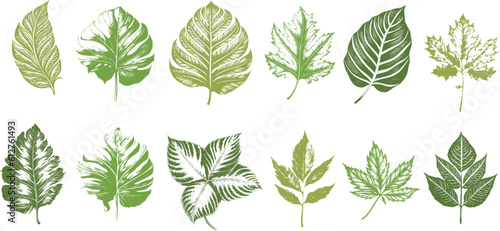 set of green leaves