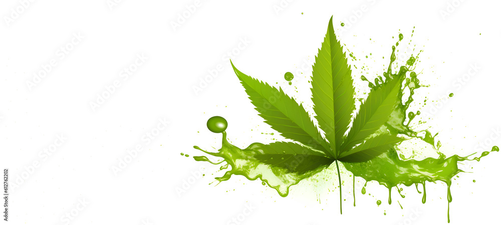 Hemp oil with cannabis leaf on a white background, banner, Generative AI 2 Hemp oil with cannabis leaf on a white background, banner, Generative AI 2
