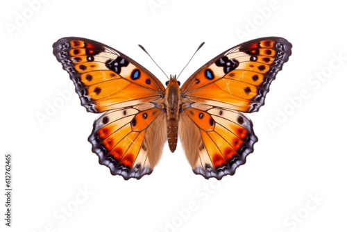 Beautiful and Rare Butterfly on a Transparent Background. Generative AI © Haider