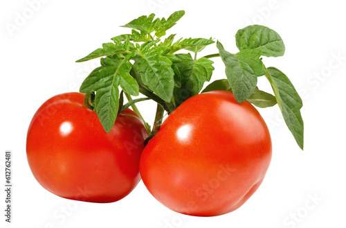Tomatoes with Tomato Leaves on Transparent PNG Background
