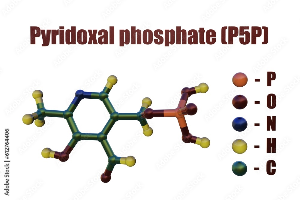 Pyridoxal phosphate (P5P), the active form of vitamin b6, a coenzyme in