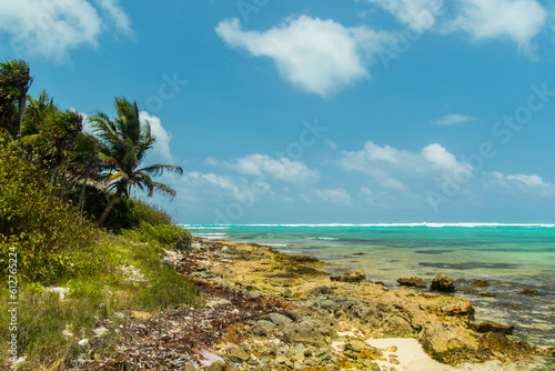 Slika na platnu reserva da Biosfera - Caribe Mexicano - Mexico