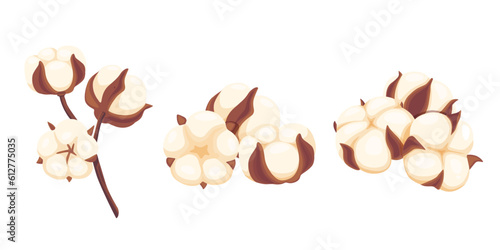 cotton flowers on a white background.Vector illustration cartoon style