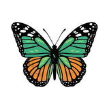  Beautiful colorful cartoon exotic vector isolated on white pastel green butterfly with colorful wings and antennae sticker