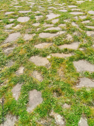 texture of some stones with grass