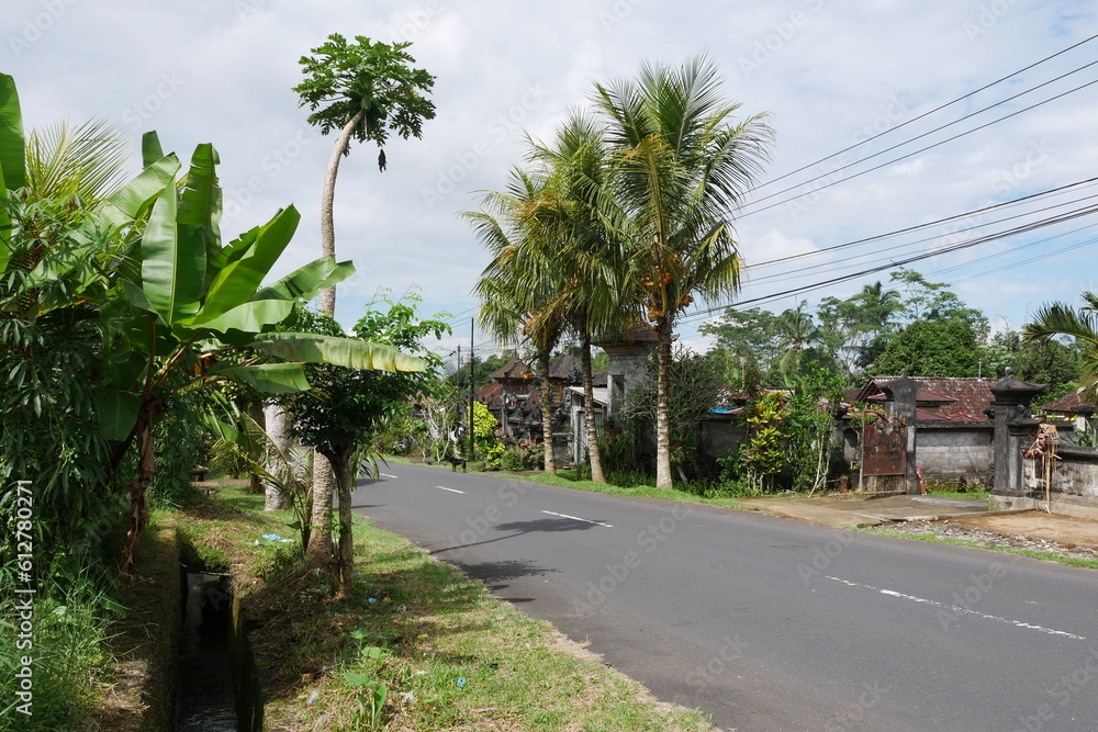 Dorfstraße auf Bali
