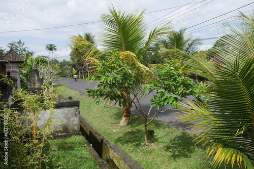 Dorfstra  e auf Bali mit Palmen