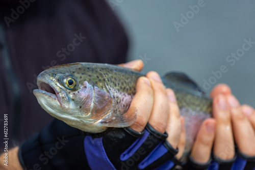 A healthy brook trout with a streamer being held in a man’s hands.Still water trout fishing.