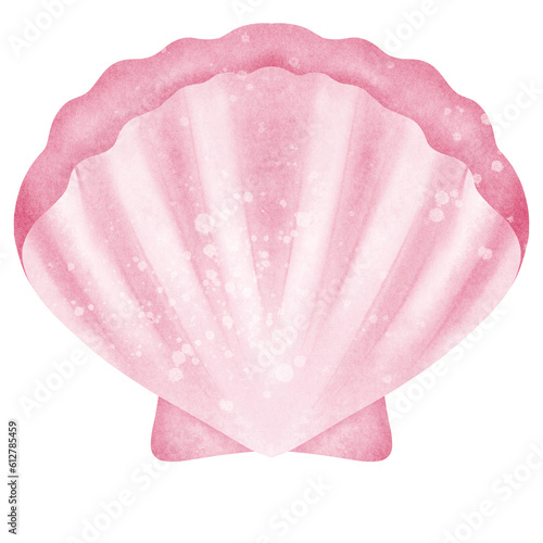 Sea shell