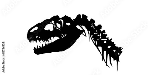 dinosaur fossil skull silhouette with white background