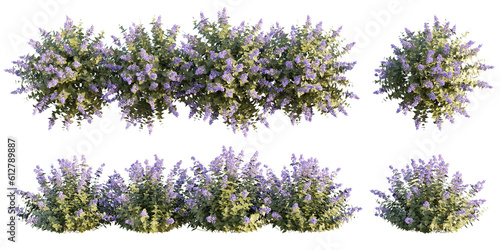 isolated cutour bushes with purple flower  best for foreground  best for landscape design  best for postpro visualization render.