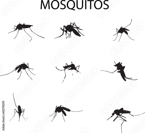 collection of mosquitos © meddiistocker