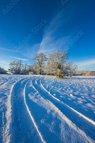 Landscape near Hnanice, NP Podyji, Southern Moravia, Czech Republic photo