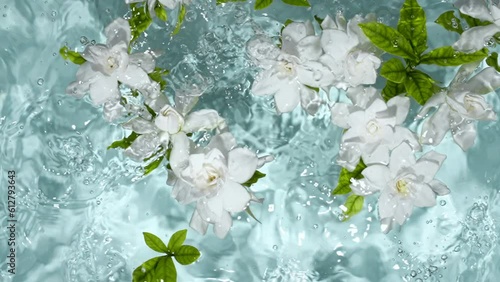 Gardenia flower in water.Skin care cosmetic concept. photo