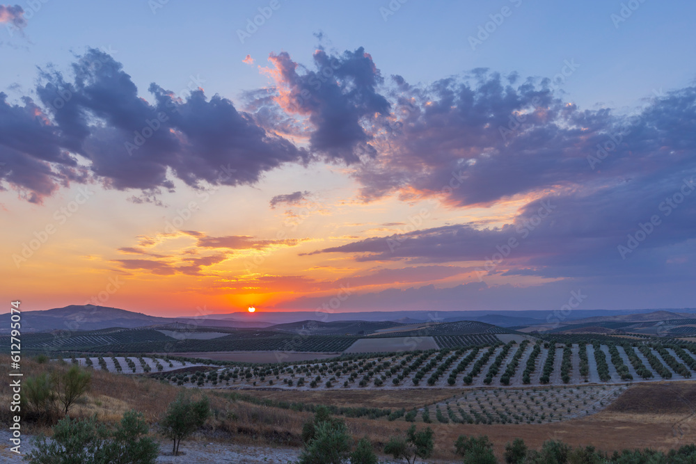typical Andalusian landscape during sunset, Spain - obrazy, fototapety, plakaty 