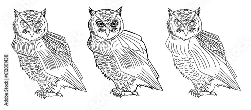 Stylized cute owl line art doodle sketch design element print children coloring book. Hand drawn animal collection cute owl cover full leght character. Vector set birds hand drawn ink pen illustration photo