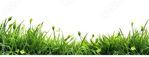 Wallpaper Mural Green grass with white background. Generative AI Torontodigital.ca