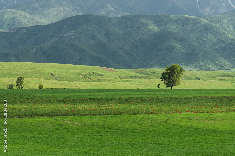 Mountain green valley. We travel in summer.