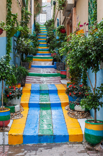 Colorful stairs among historical buildings in the old Medina, the Jewish neighborhood in downtown Fez, Morocco, Africa. Traditional houses on tiny urban streets, decorated with plants and flowers.  © Daniel