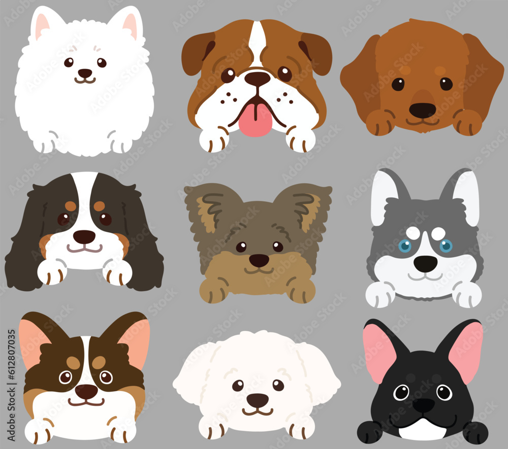 Set of flat colored cute and simple dog heads with front paws