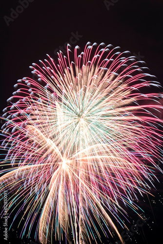 Fireworks display is a typical summer scene in Japan. Colorful fireworks dye the night sky beautifully.