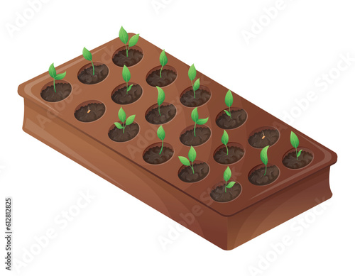 Seedling box with planted growing plant sprouts with leaves. The concept of gardening and farming. Vector isolated cartoon illustration.