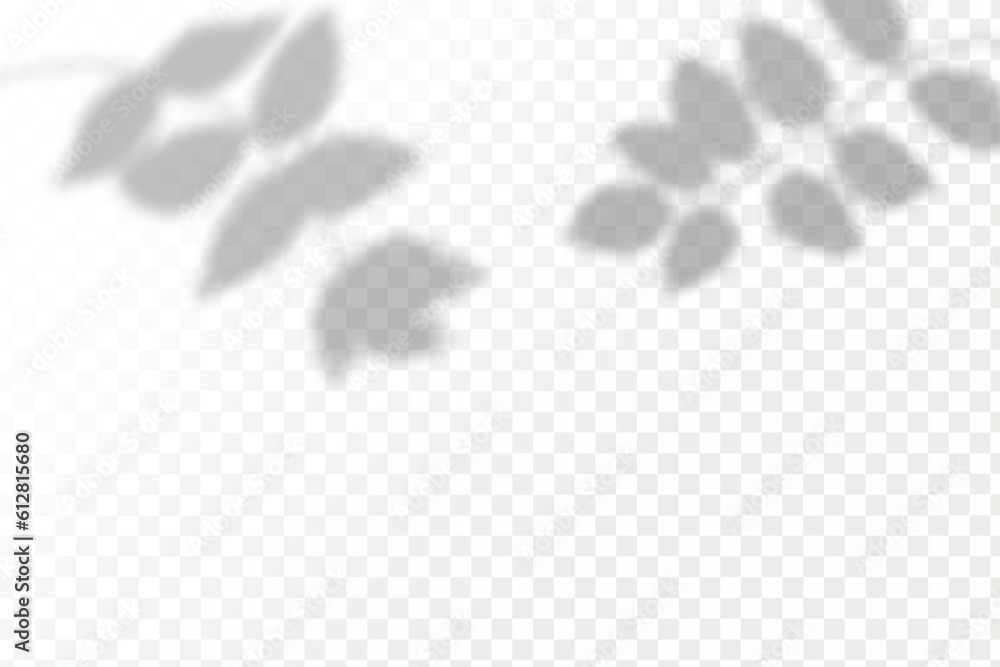 Realistic shadow tropical leaves and branches on transparent checkered ...
