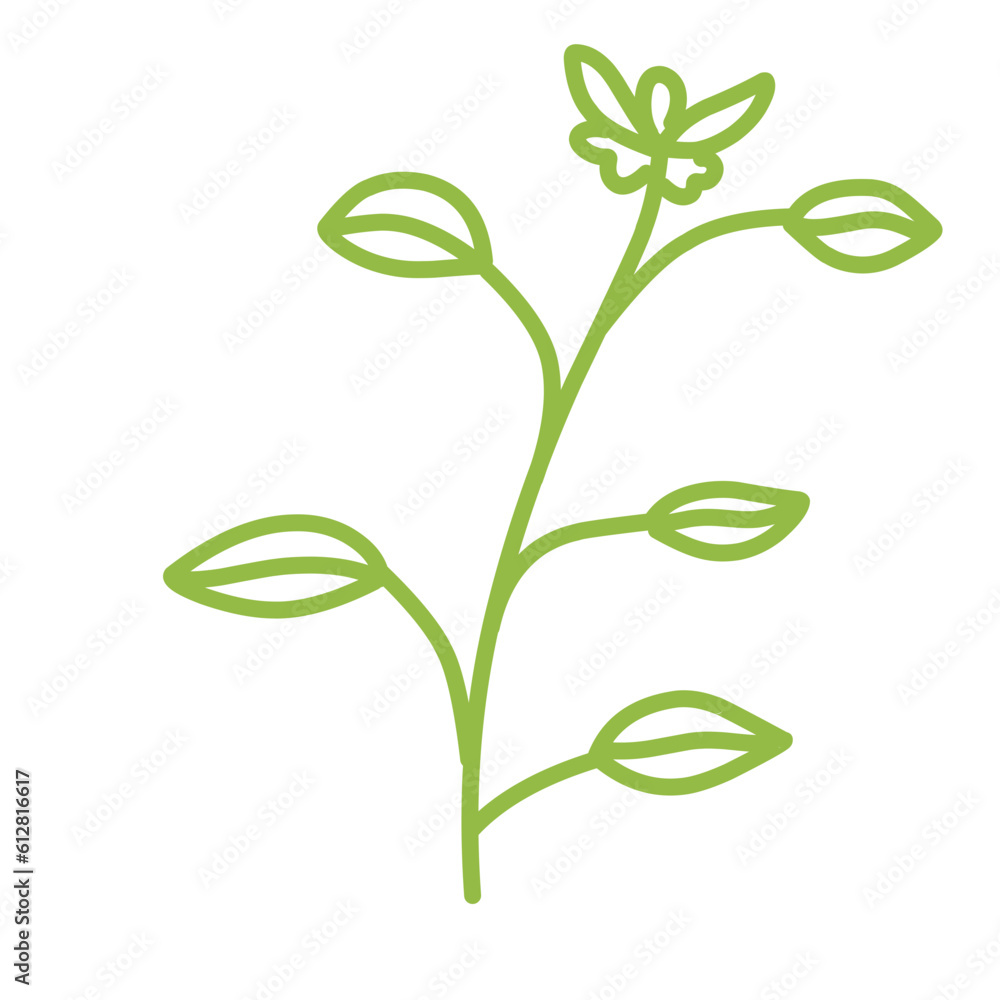 Simple plant leaves.plant doodle. Simple plant leaves.plant doodle.