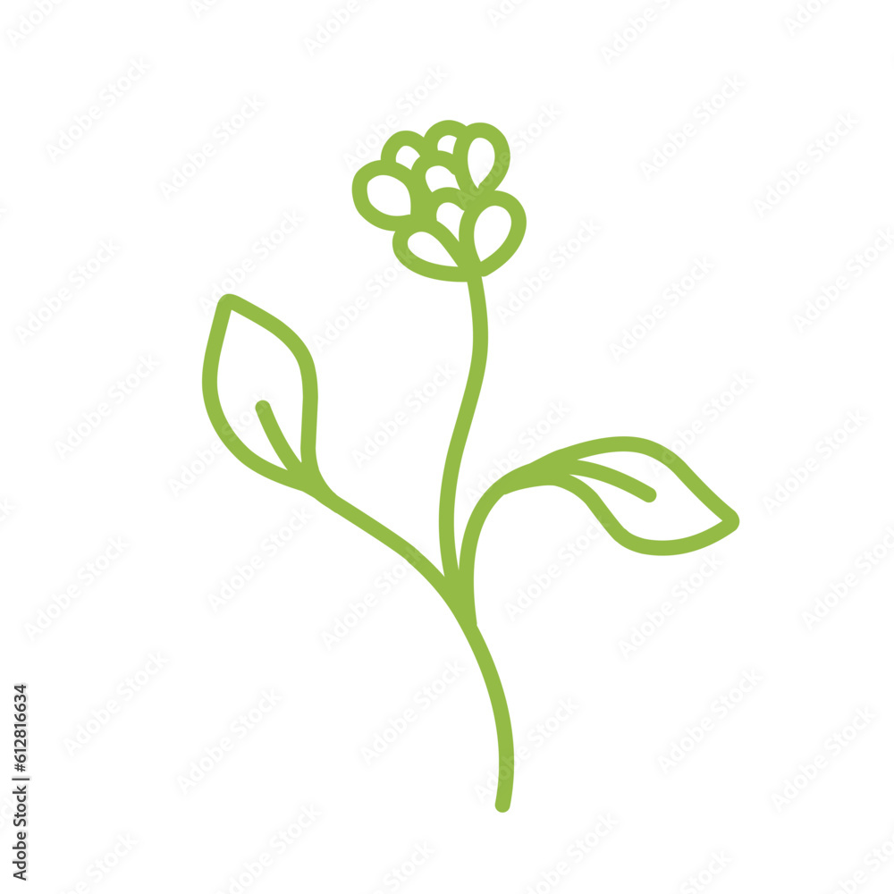 Simple plant leaves.plant doodle.