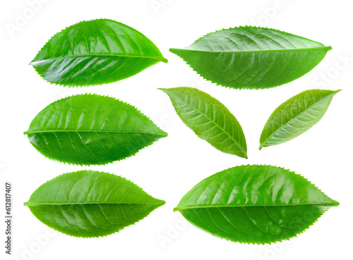 Green tea leaf isolated on transparent png © sommai