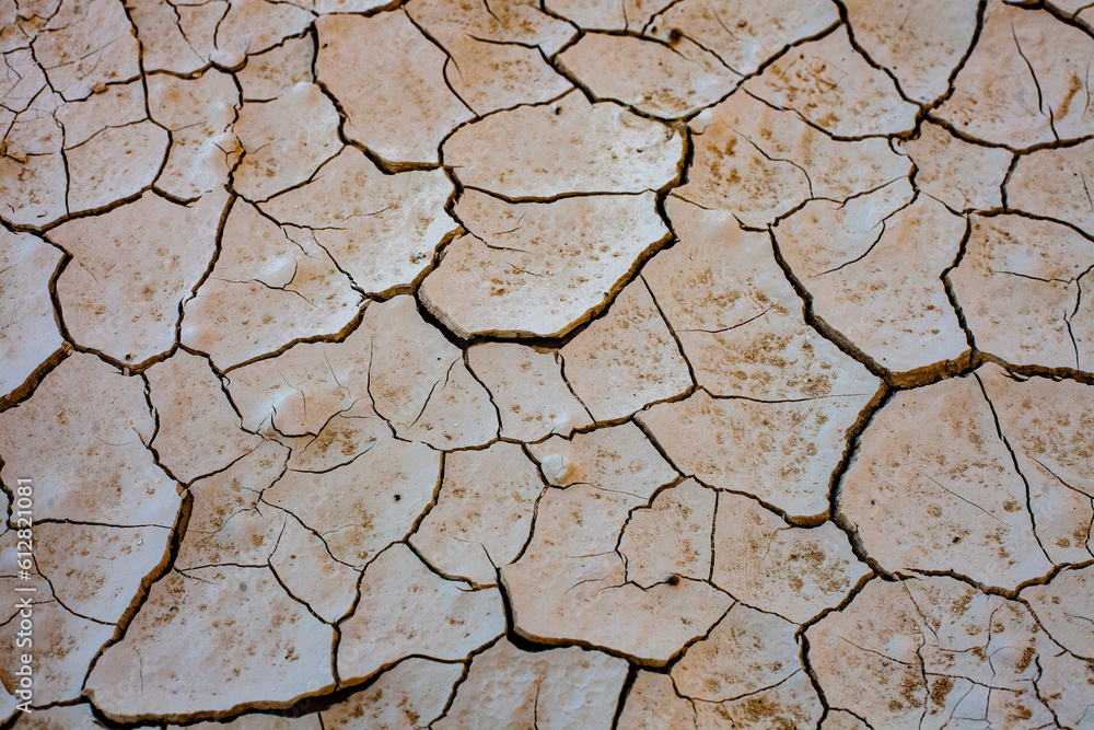 Obraz premium Dry cracked earth background. Global warming and climate change concept.