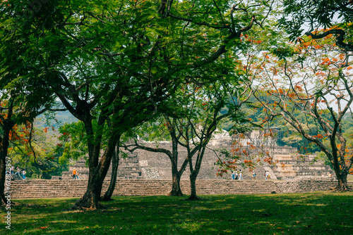 Mayan ruins in Palenque  Chiapas  Mexico.