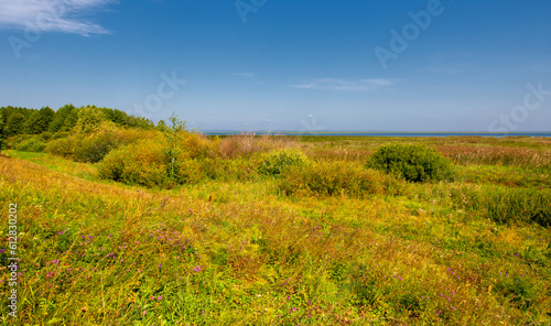 Summer landscape. River in the European part of the world. Sunny warm day. Green trees  grass. Blue sky with a small cloud cover.